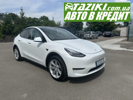 Tesla Model y, 2021г. 60л. Электро Чернигов в кредит